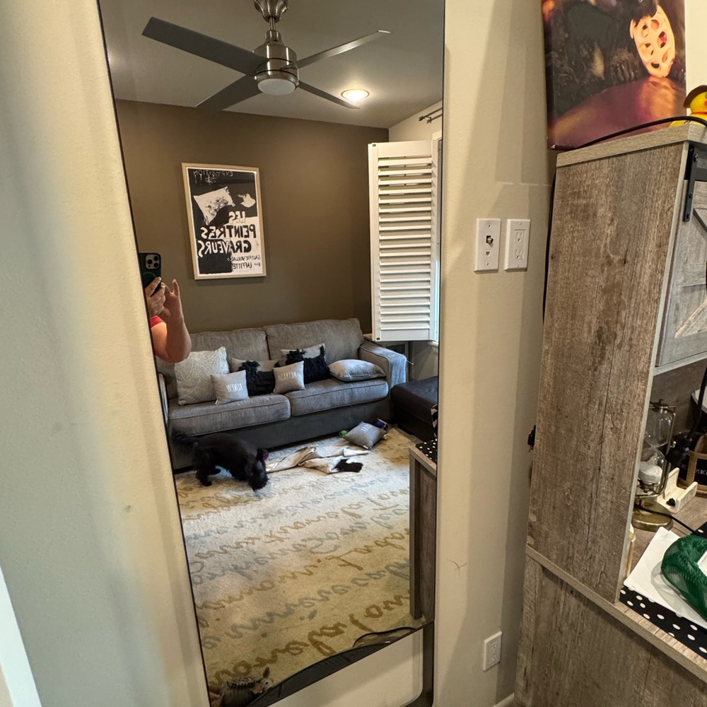 Modern Silver Wall Mirror